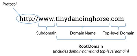 root domain vs top level domain|Different Types Of Domains And Best Practices For SEO .